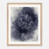 Dark Hydrangea - Fine Art Print