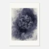 Dark Hydrangea - Fine Art Print