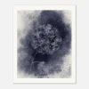 Dark Hydrangea - Fine Art Print